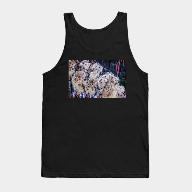 Virgin's Bower 2 Tank Top by Robert Alsop